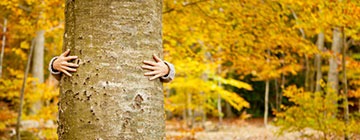 Ontario-Nature---Land-Easements-and-Management